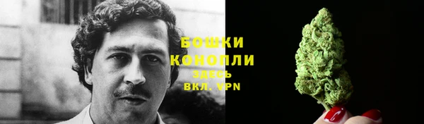 таблы Бородино