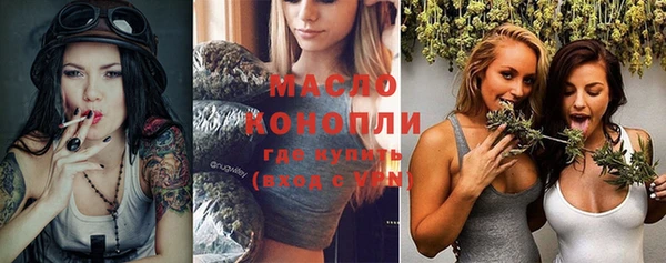 таблы Бородино